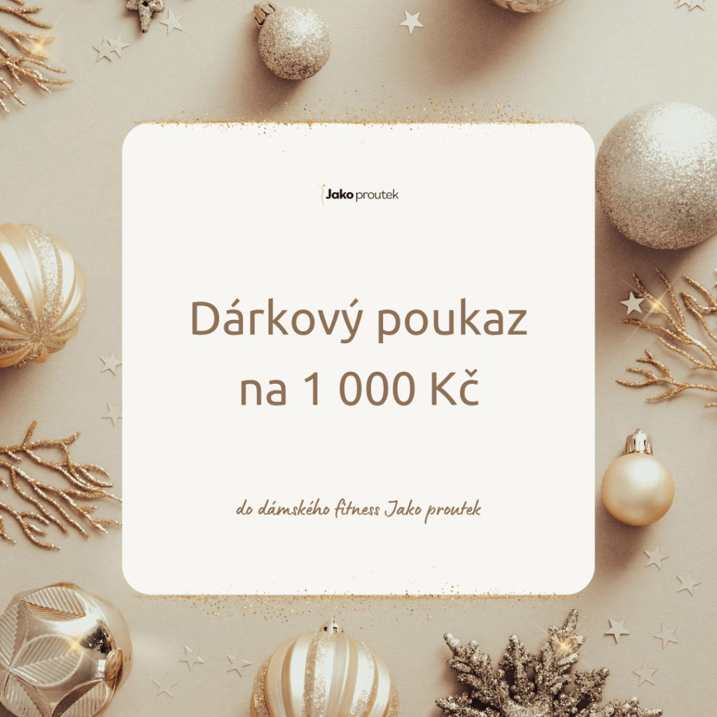 Vánoční dárkový poukaz v hodnotě 1 000 Kč