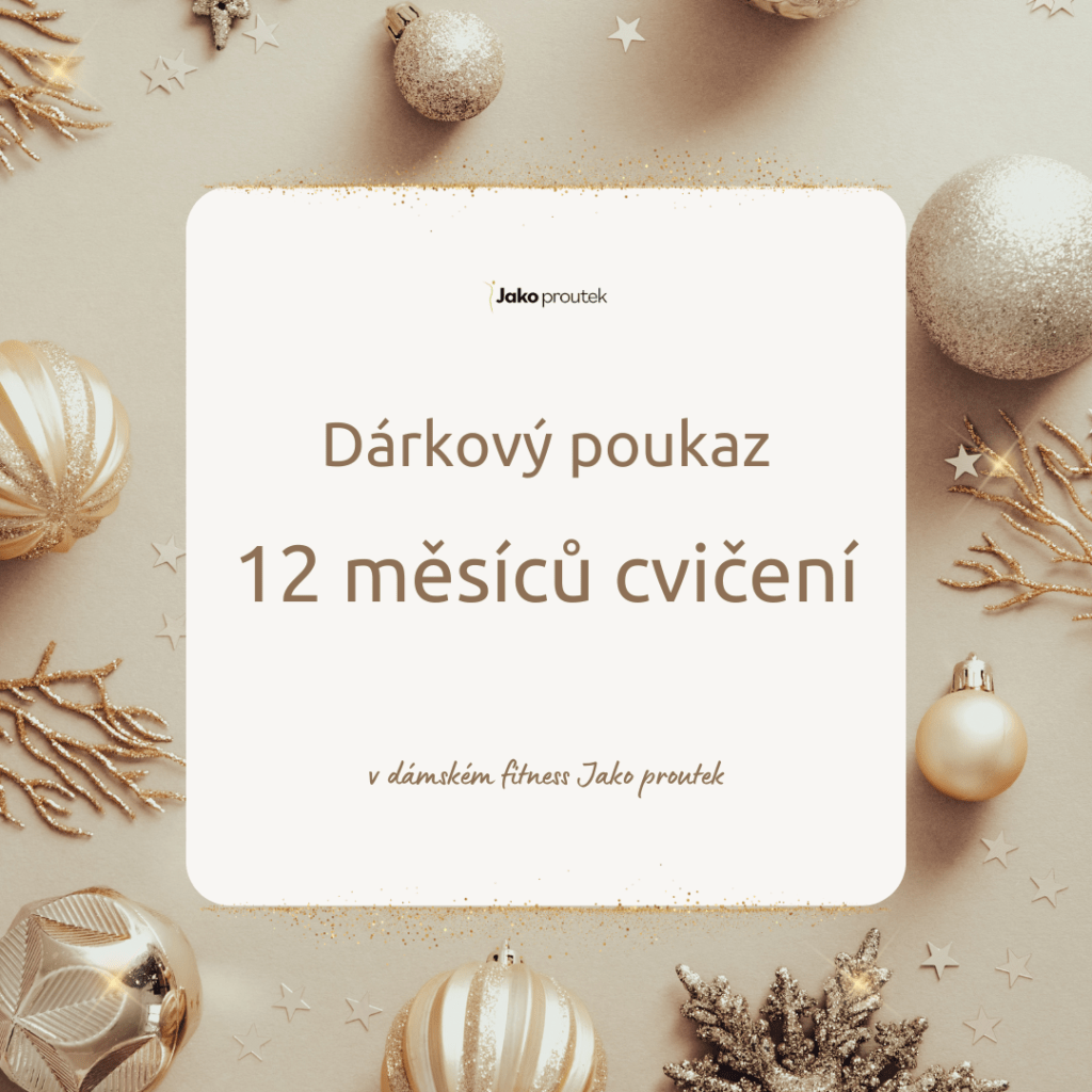 Vánoční dárkový poukaz na 12 měsíců cvičení