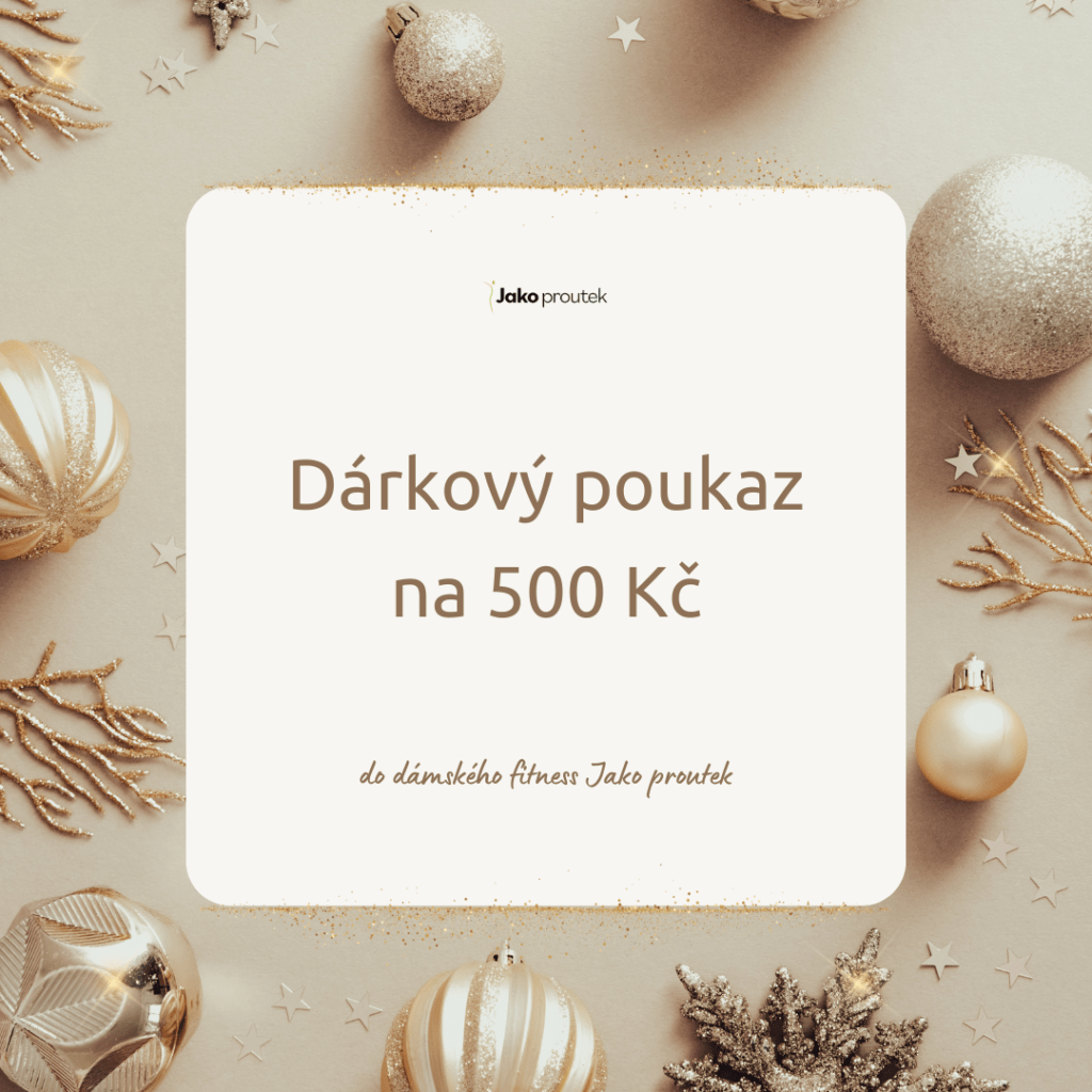 Vánoční dárkový poukaz v hodnotě 500 Kč