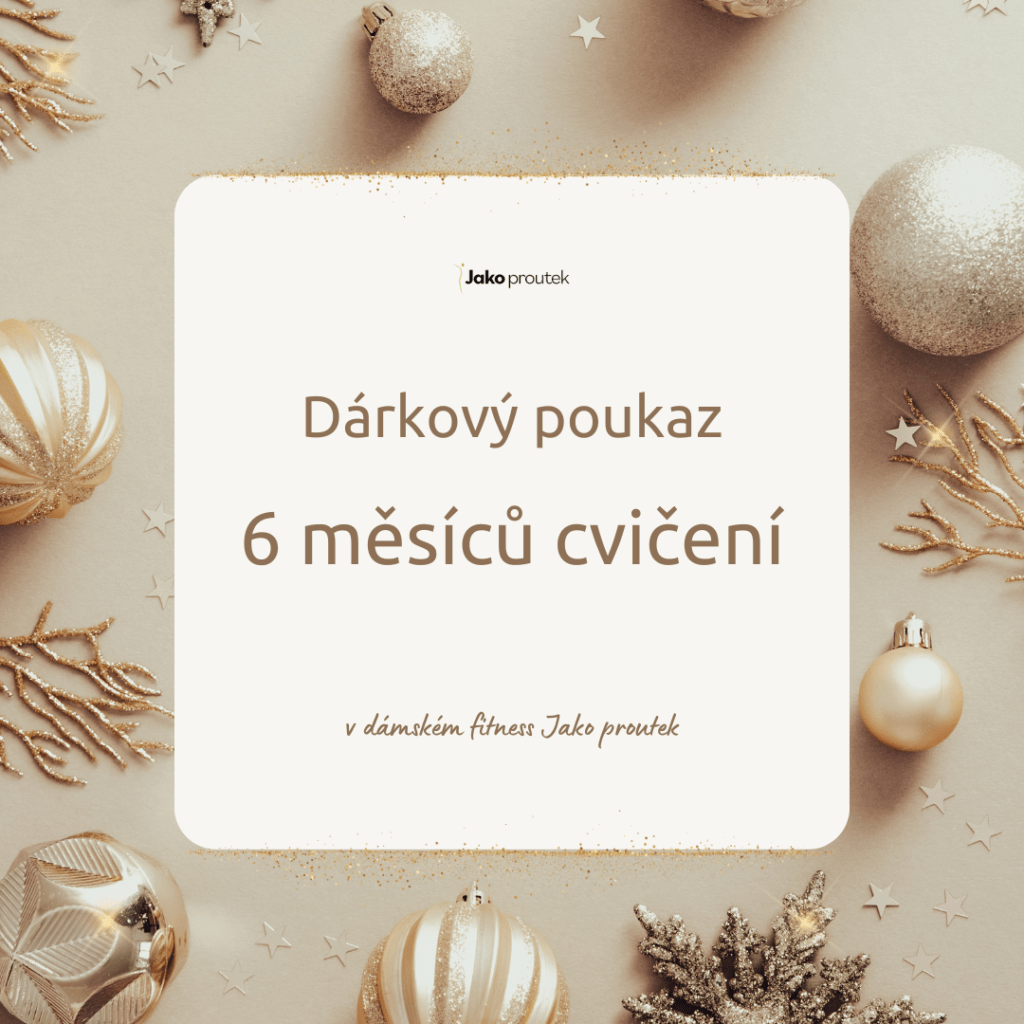 Vánoční dárkový poukaz na 6 měsíců cvičení